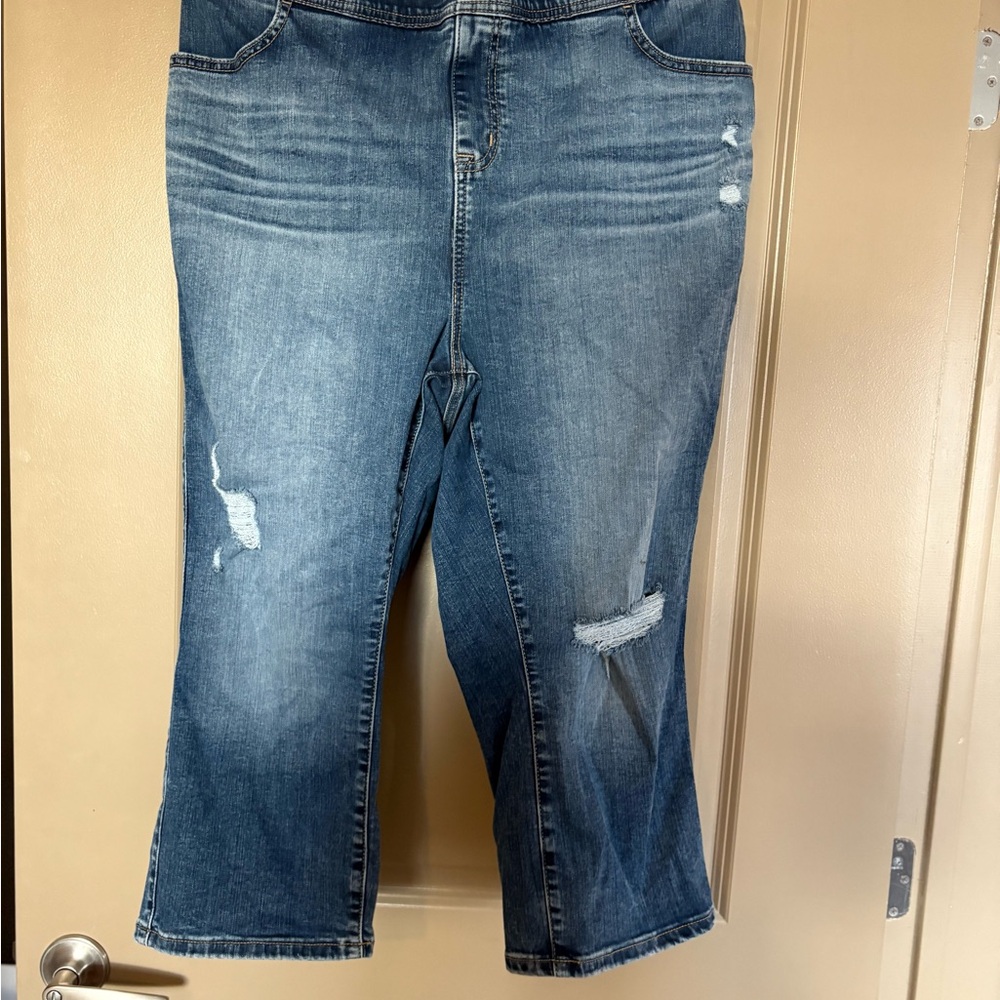 Torrid Distressed Cropped pull on Jeans